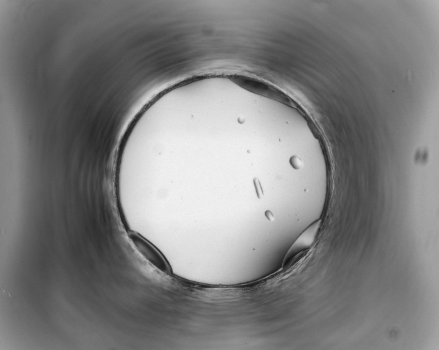 X0000099311392200805231354