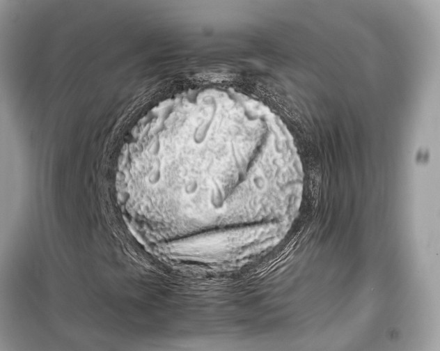 X0000099311393200805231353