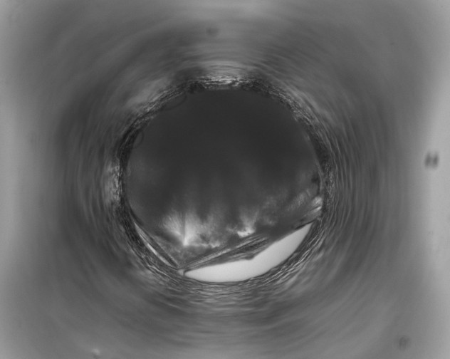 X0000099311394200805231353