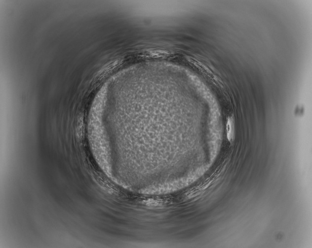 X0000099311395200805231353