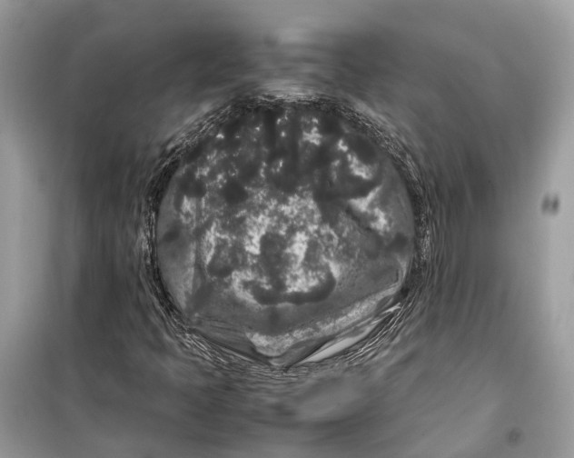 X0000099311397200805231353