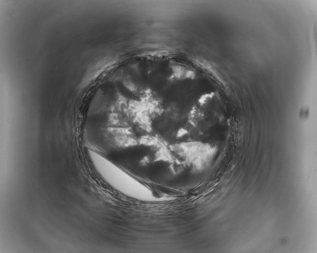 X0000099311399200805231353