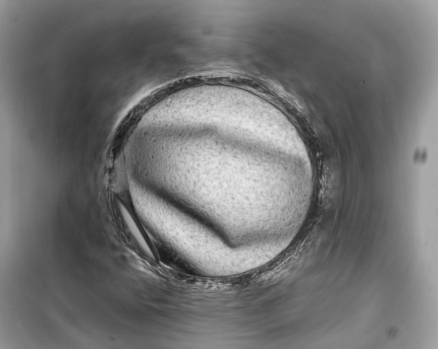 X0000099311400200805231353