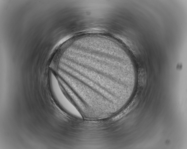 X0000099311402200805231353