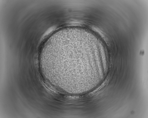 X0000099311403200805231353