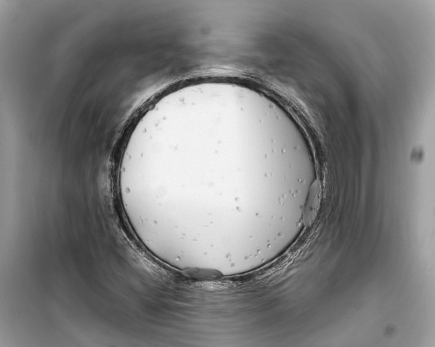 X0000099311404200805231353