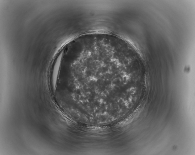 X0000099311405200805231353