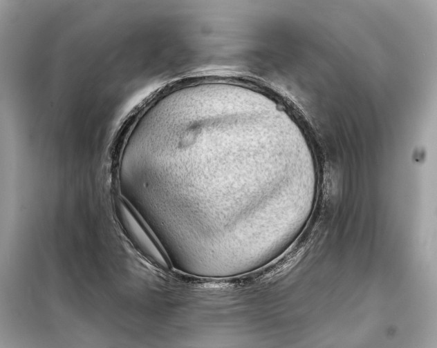 X0000099311406200805231353