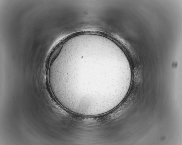 X0000099311408200805231353