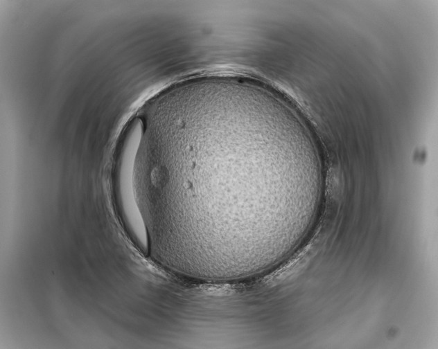 X0000099311410200805231353