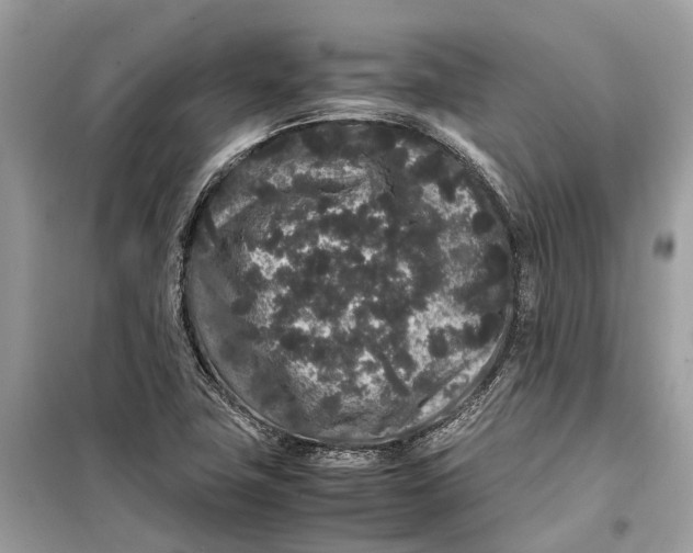 X0000099311411200805231353