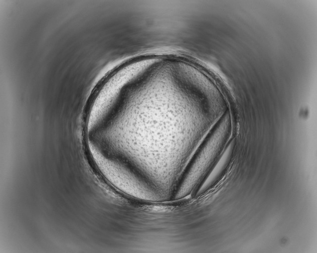 X0000099311412200805231353