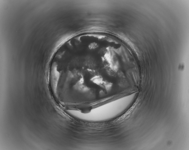 X0000099311413200805231353