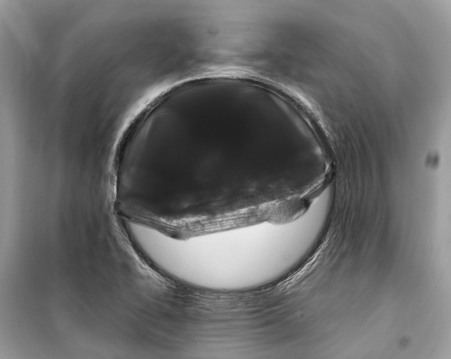 X0000099311414200805231353