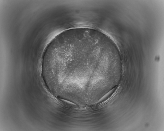 X0000099311415200805231353