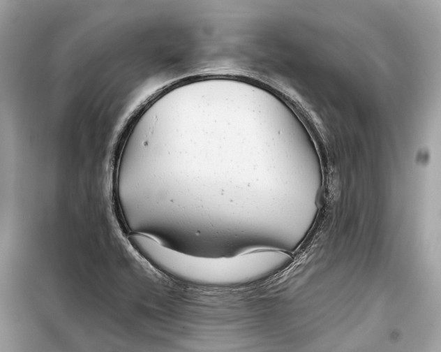 X0000099311416200805231353