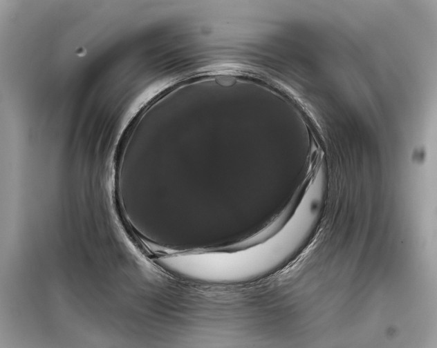 X0000099311418200805231353