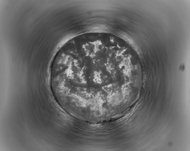 X0000099311419200805231353