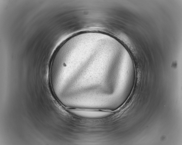 X0000099311420200805231353