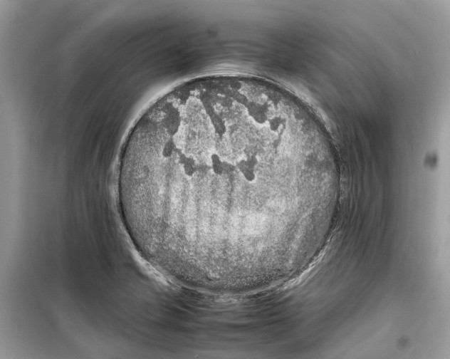 X0000099311421200805231353