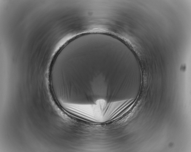 X0000099311422200805231353