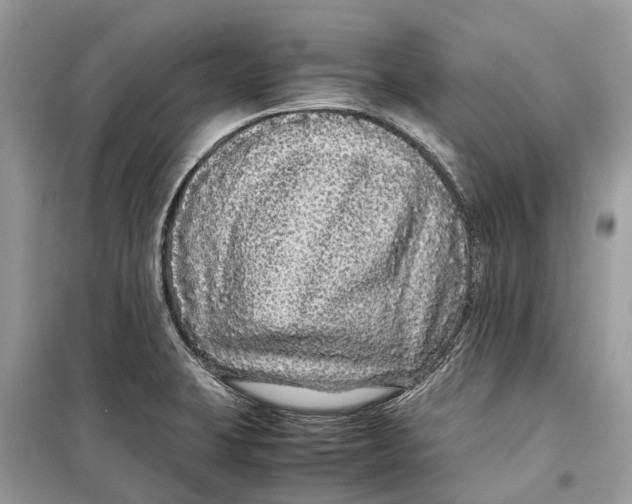 X0000099311423200805231353