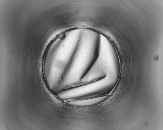 X0000099311424200805231353