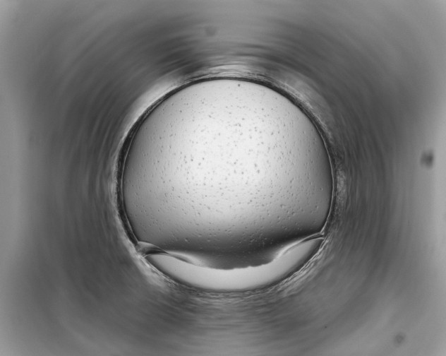 X0000099311426200805231354