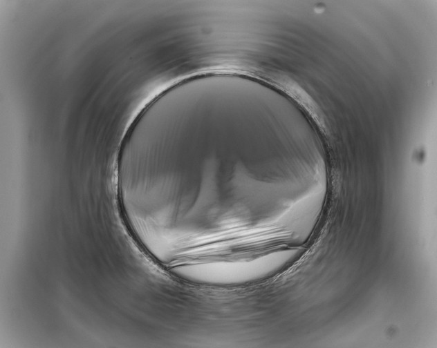 X0000099311428200805231354