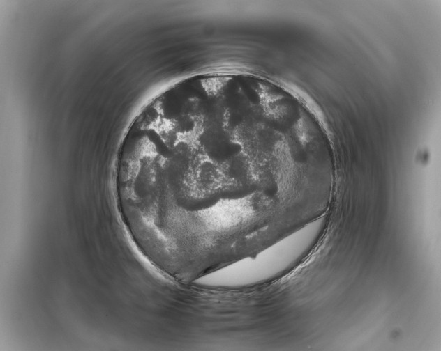 X0000099311429200805231354