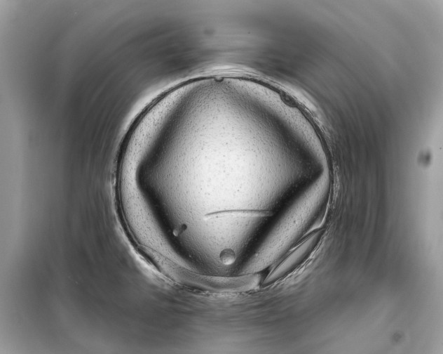 X0000099311430200805231354