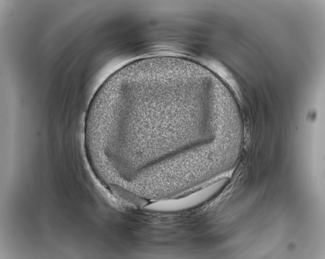 X0000099311431200805231354