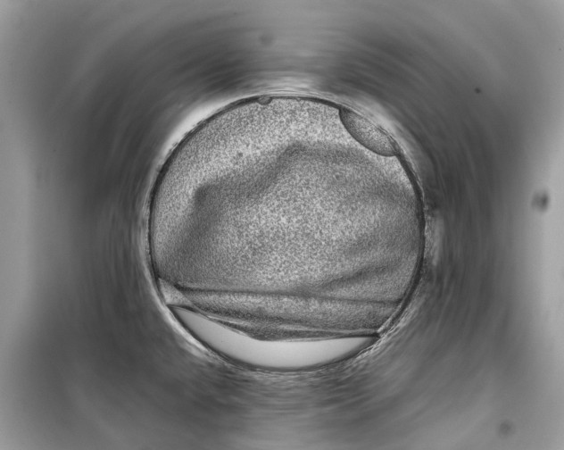 X0000099311432200805231354