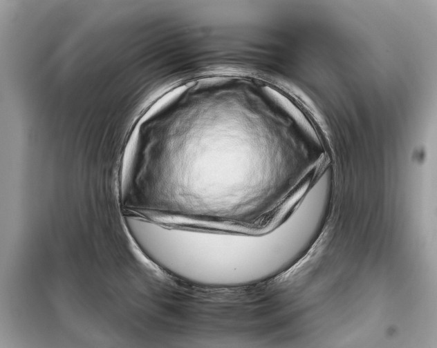 X0000099311433200805231354