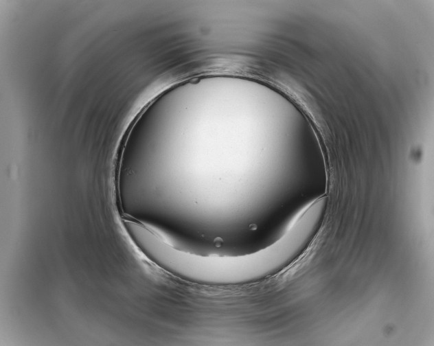 X0000099311434200805231354