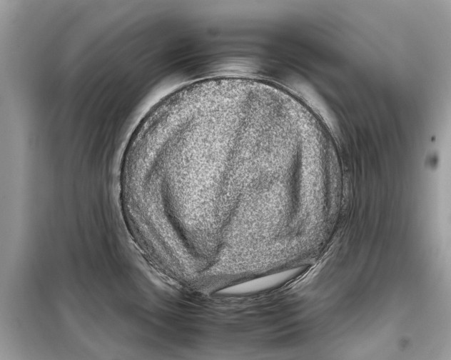 X0000099311435200805231354