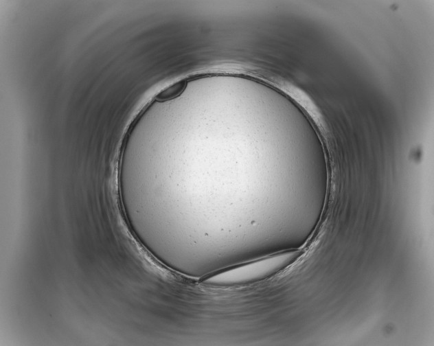 X0000099311436200805231354