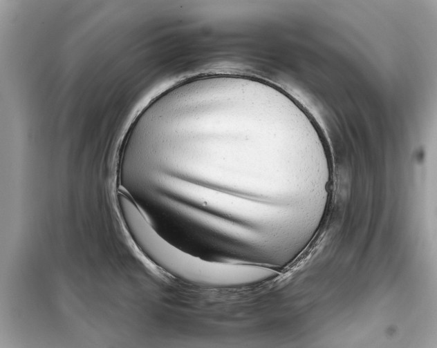 X0000099311437200805231354