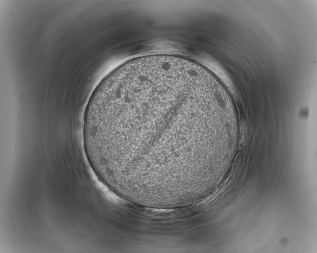 X0000099311439200805231354