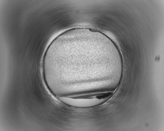 X0000099311440200805231354