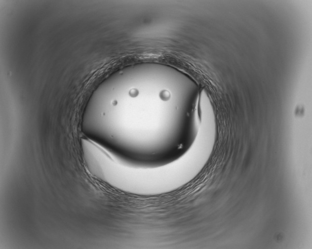 X0000099311441200805231353