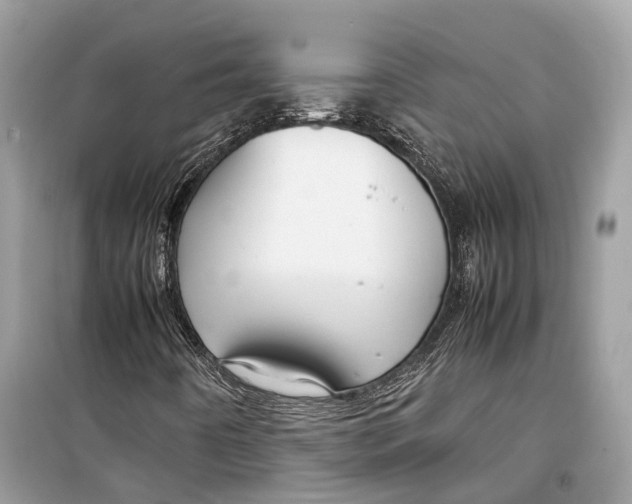 X0000099311442200805231353