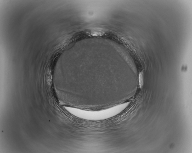 X0000099311443200805231353