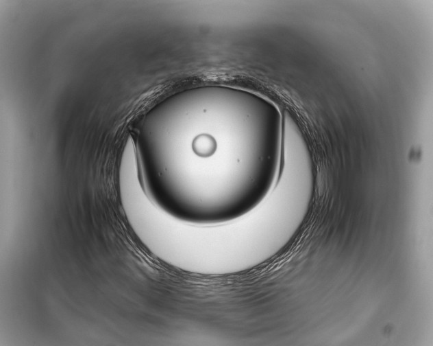 X0000099311444200805231353