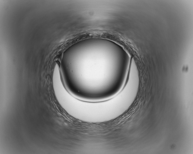 X0000099311445200805231353