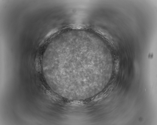 X0000099311446200805231353