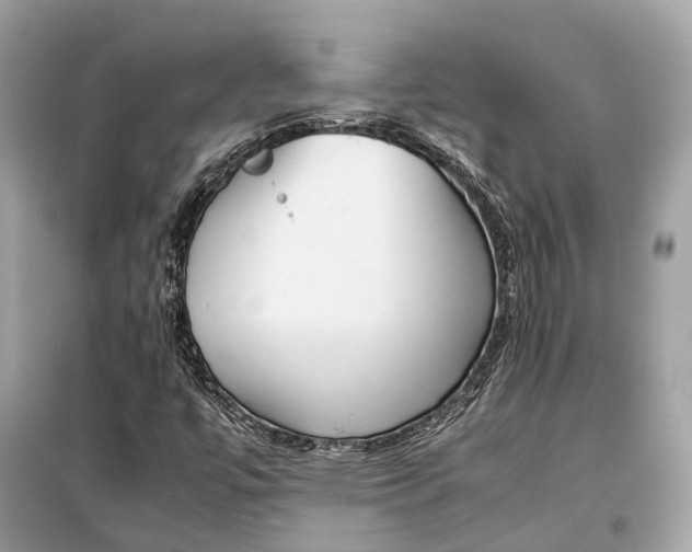 X0000099311447200805231353