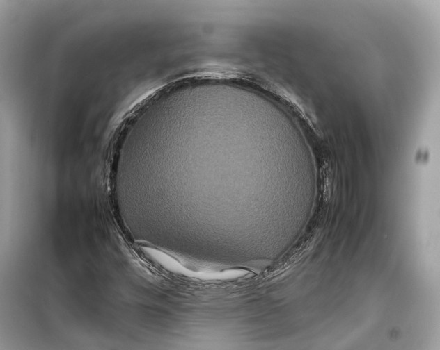 X0000099311448200805231353