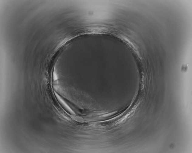 X0000099311449200805231353