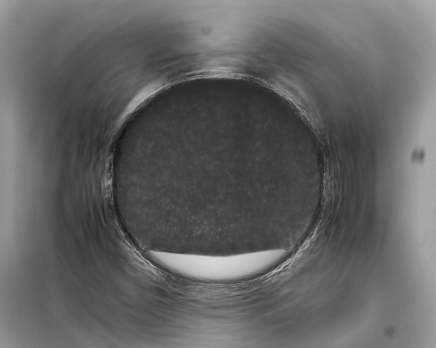 X0000099311450200805231353